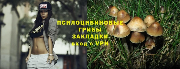 apvp Армянск
