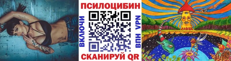 Псилоцибиновые грибы Psilocybe  Верхнеуральск 